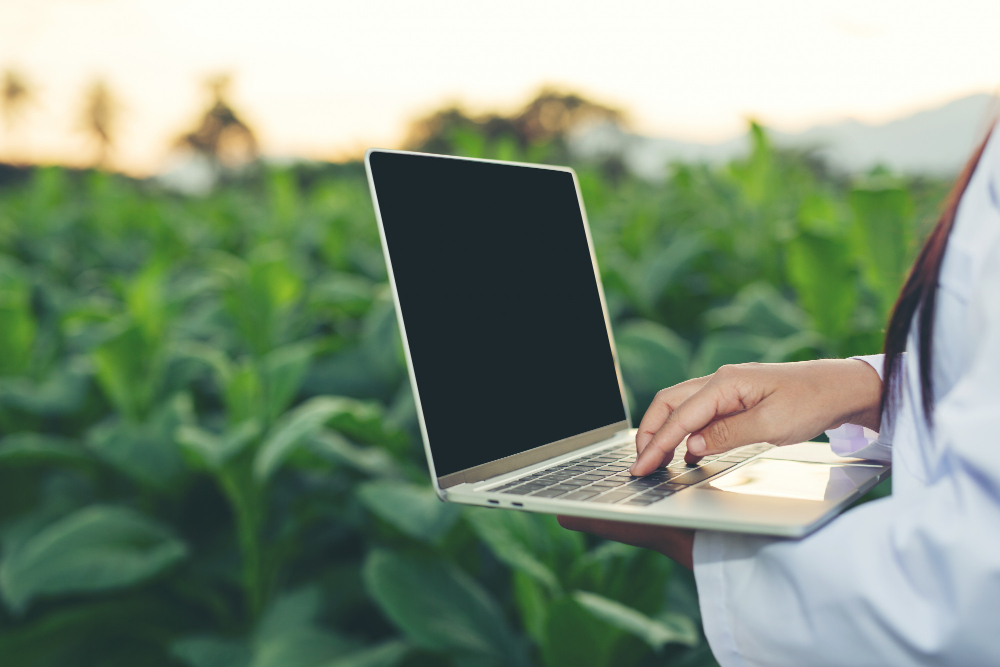Como usar ferramentas tecnológicas para a gestão financeira rural | KronoSys ERP